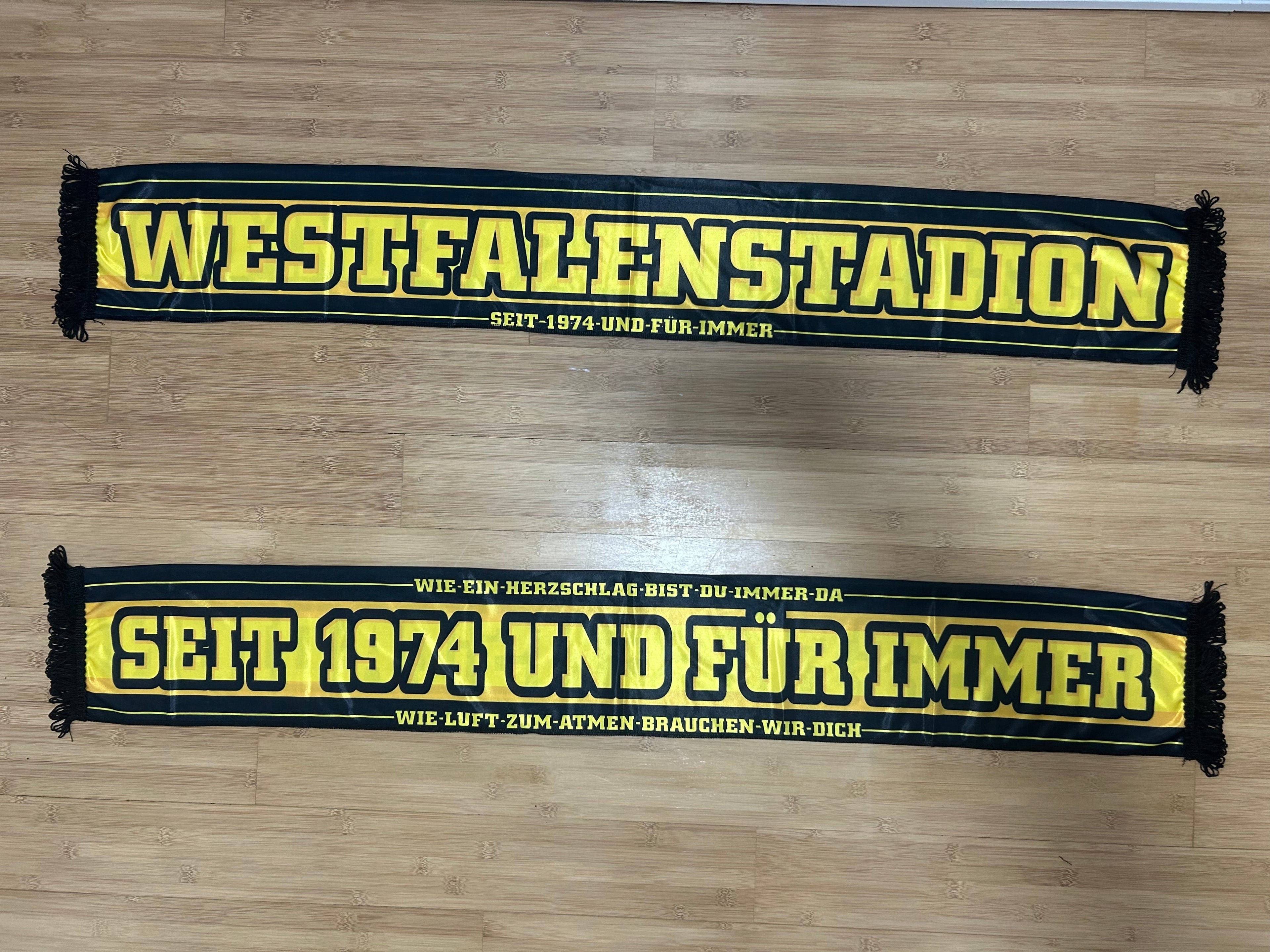 Borussia Dortmund - 22 - SEIT 1974 UND FUR IMMER / WESTFALENSTADION