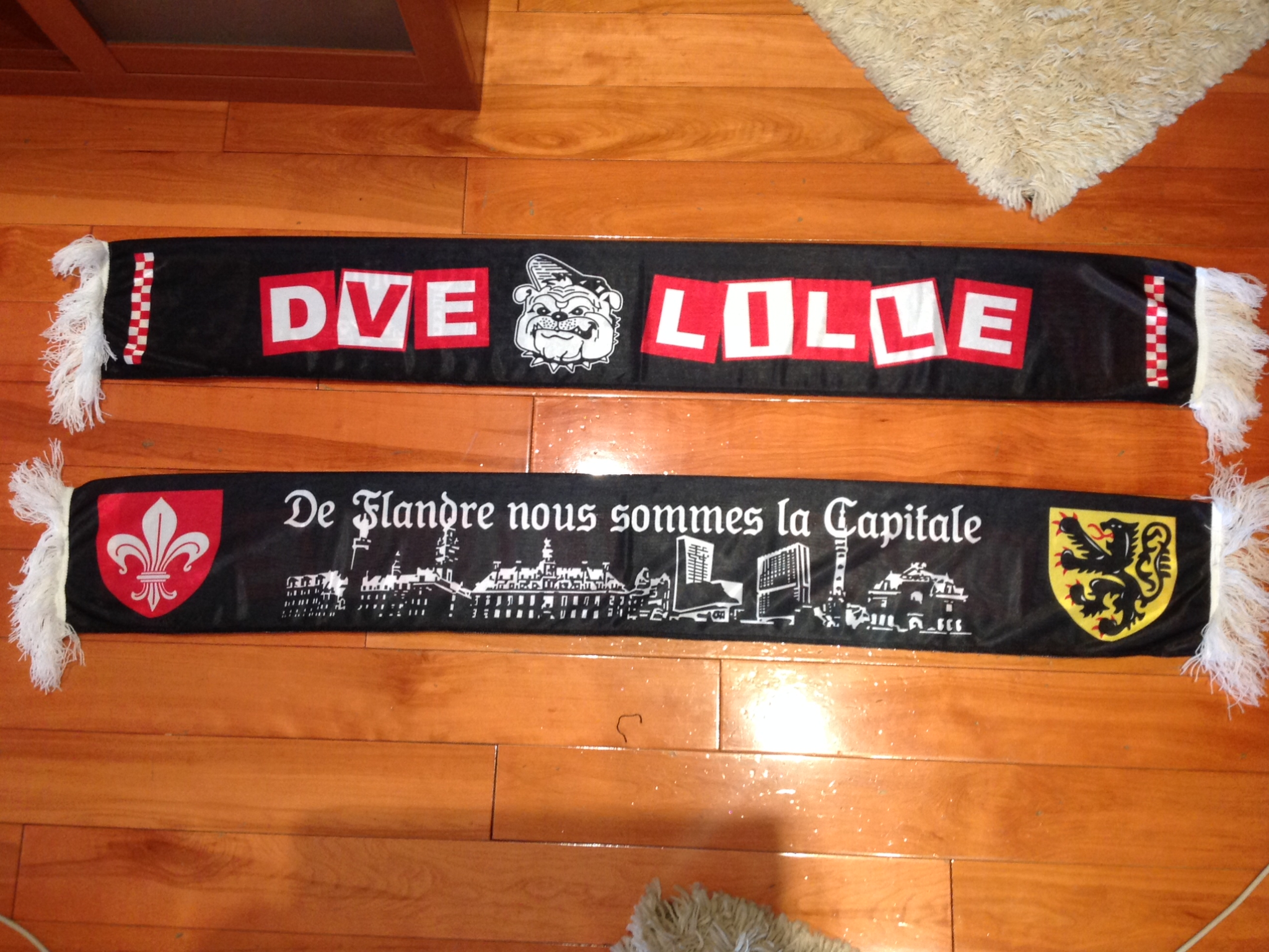 Lille OSC - 04 - DVE LILLE
