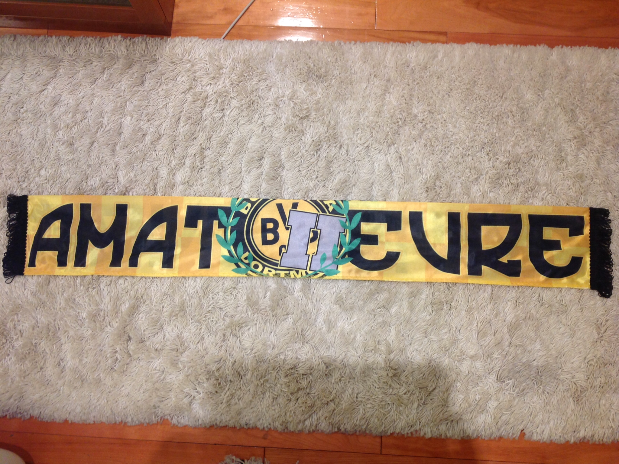 Borussia Dortmund - 05 - AMATEURE