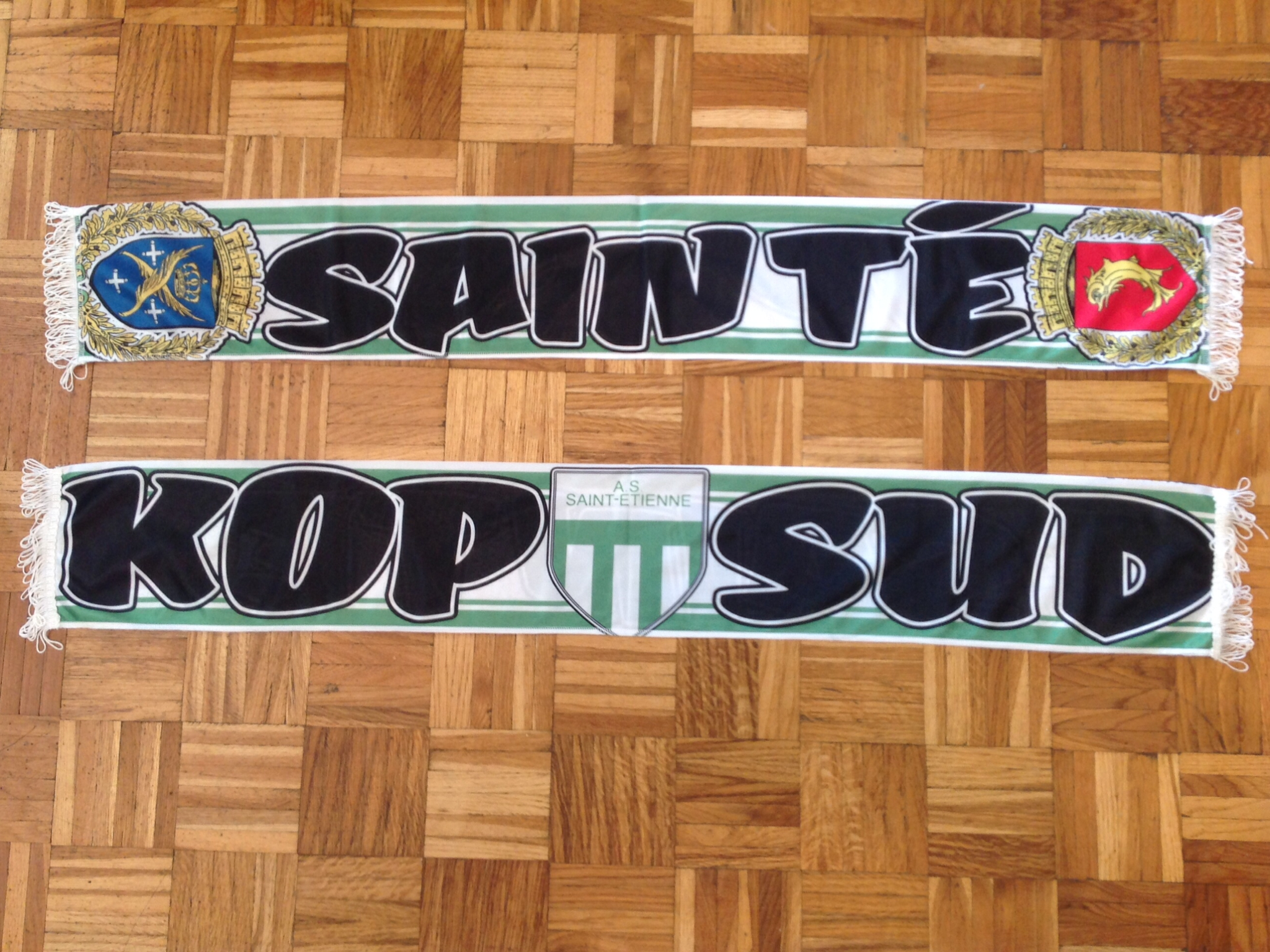 AS Saint-Étienne - 15 - KOP SUD