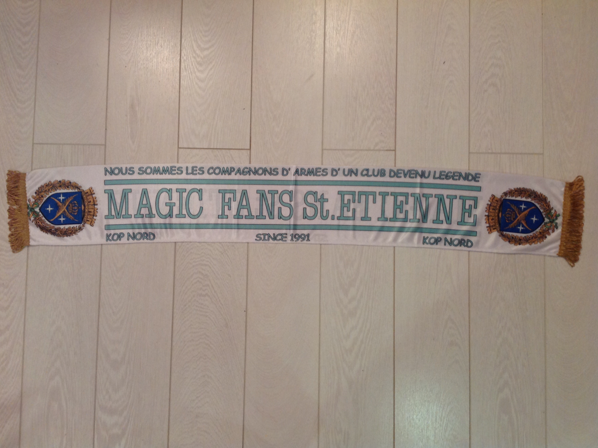 AS Saint-Étienne - 28 - MAGIC FANS