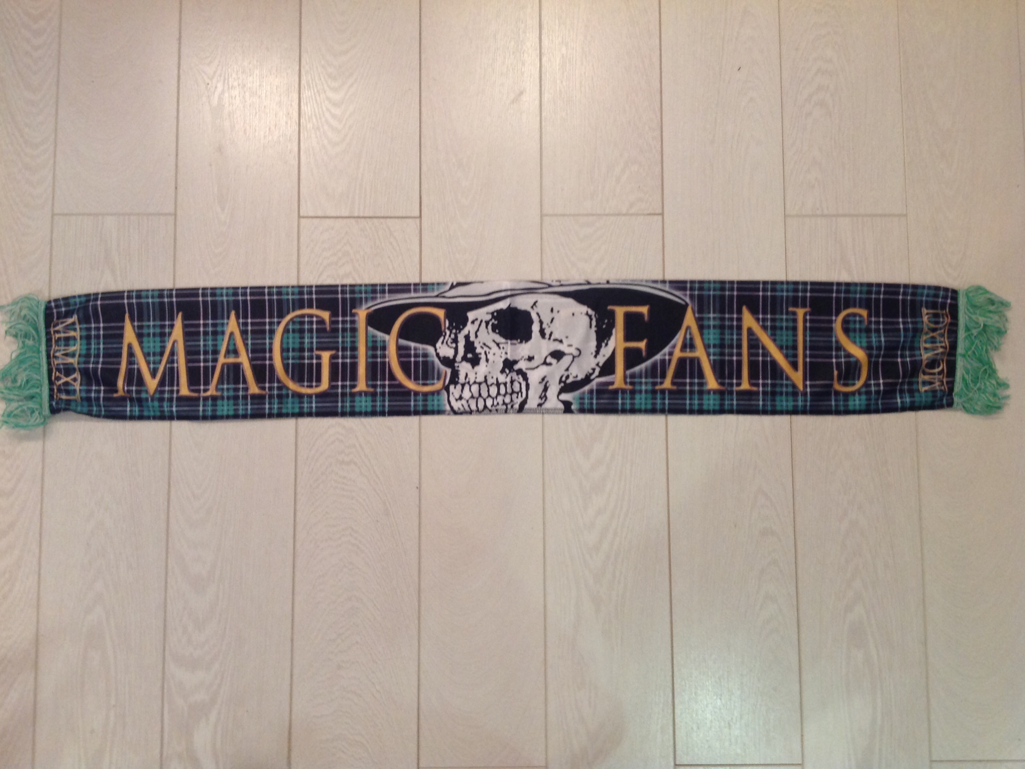 AS Saint-Étienne - 30 - MAGIC FANS