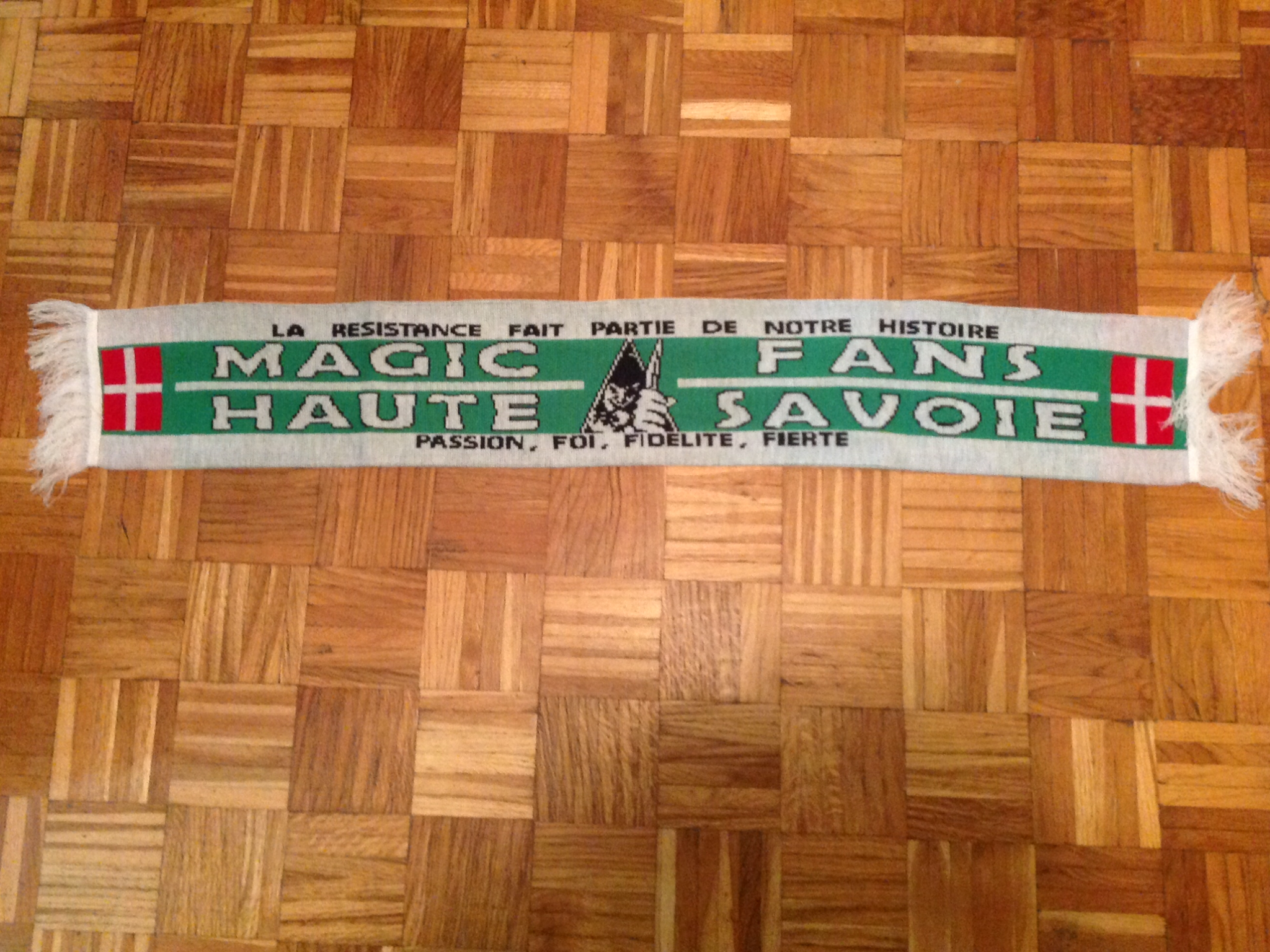 AS Saint-Étienne - MAGIC FNAS / HAUTE SAVOIE