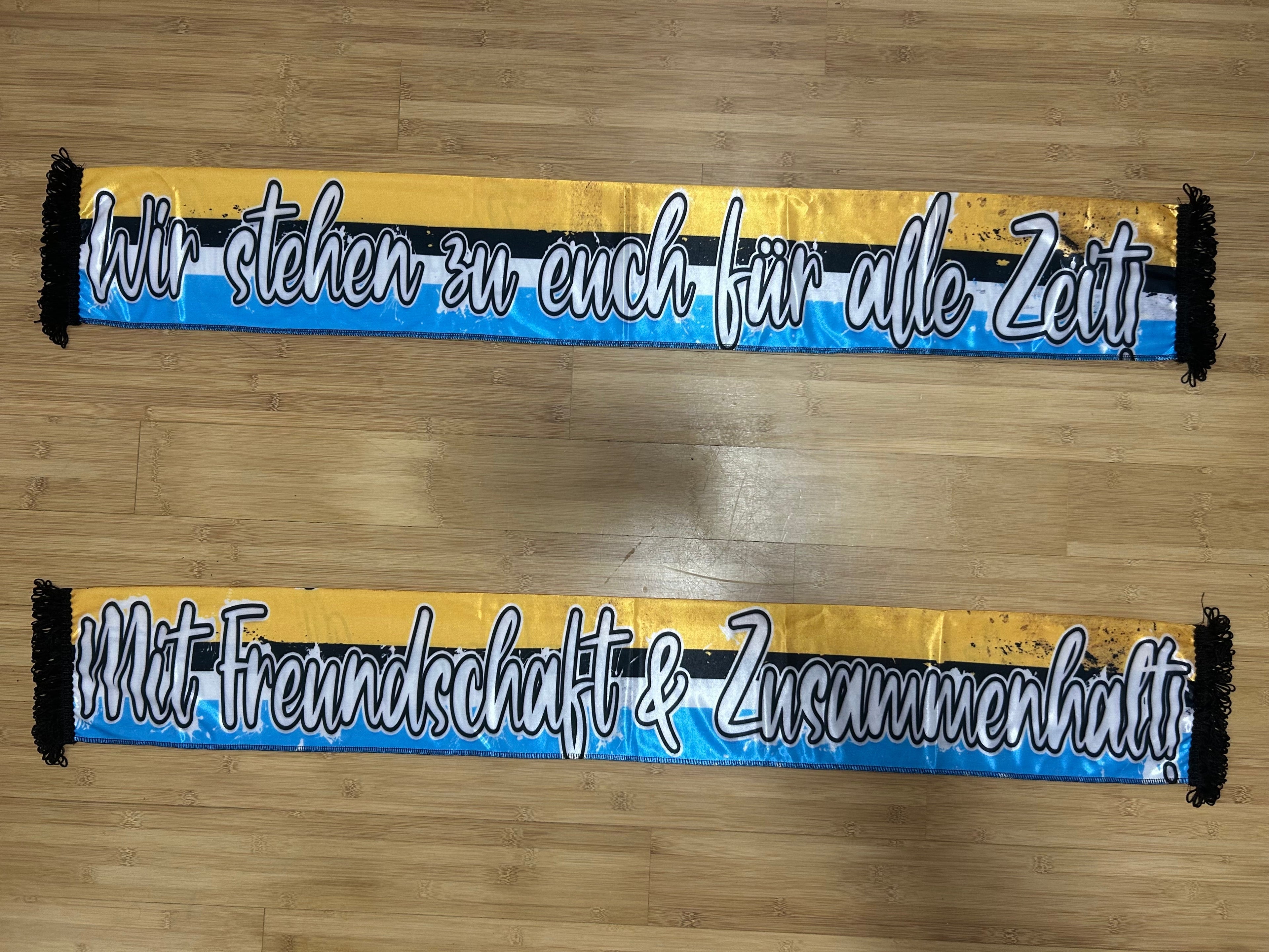 Chemnitzer FC - 13 - VFC Plauen