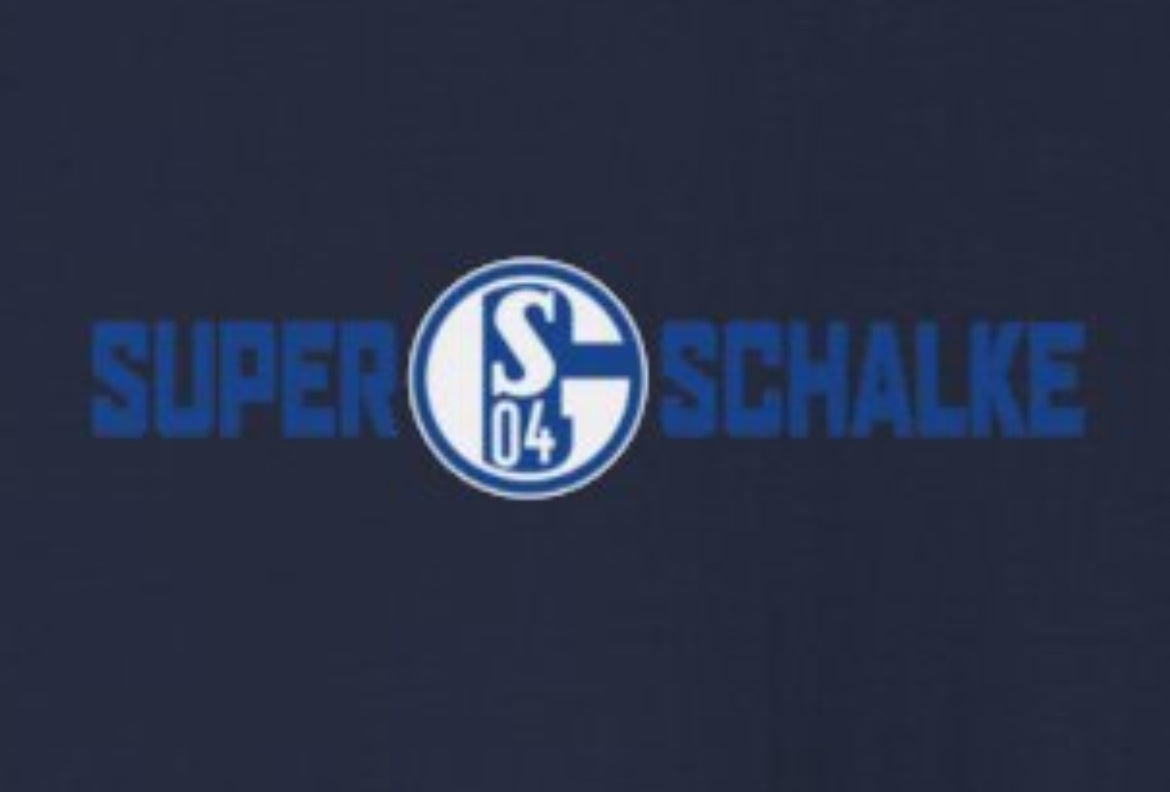 FC Schalke 04 - t-shirt - 19 - S - 3XL - dark blue