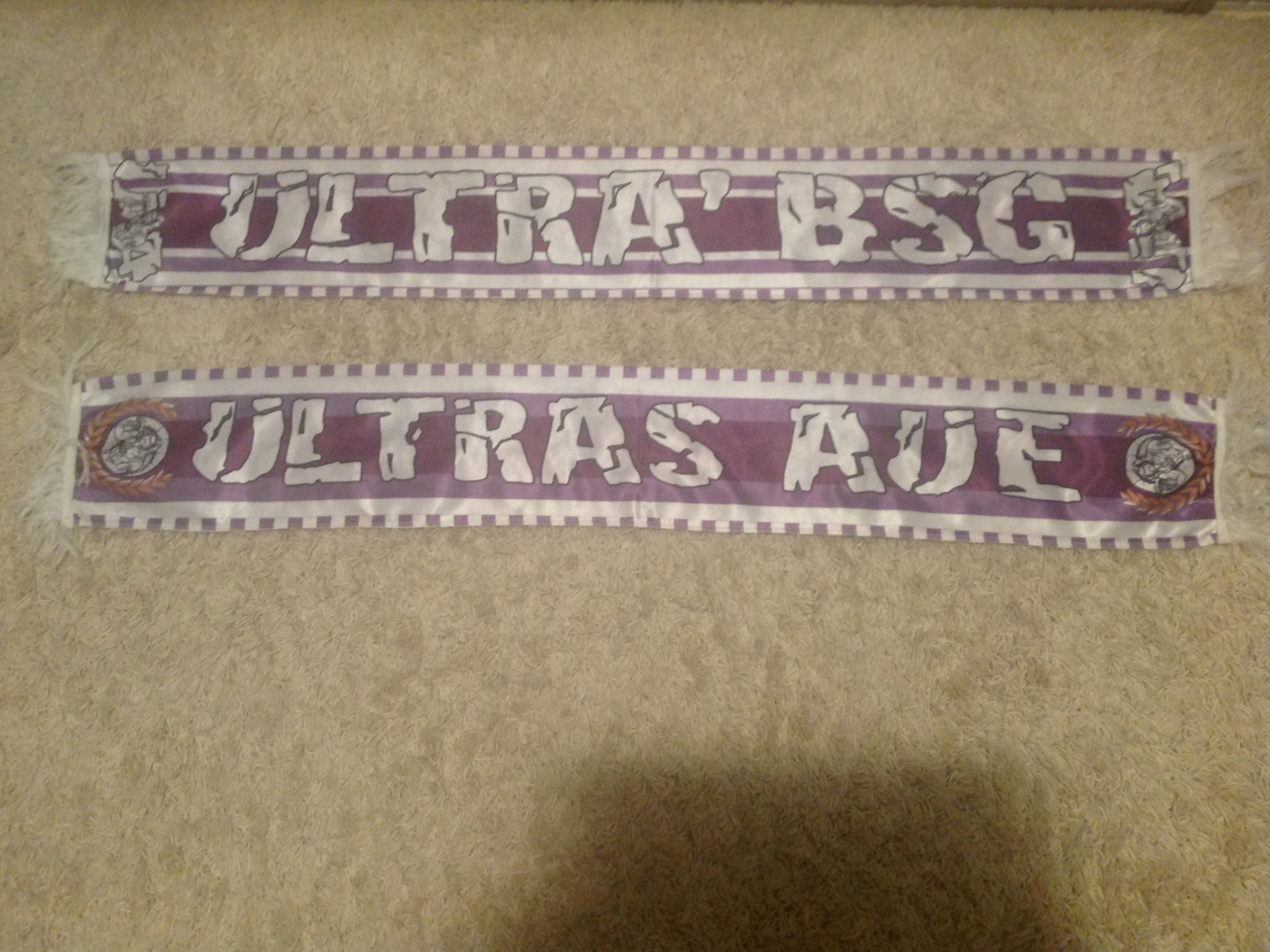 FC Erzgebirge Aue - 02 - ULTRAS AUE / ULTRA' BSG