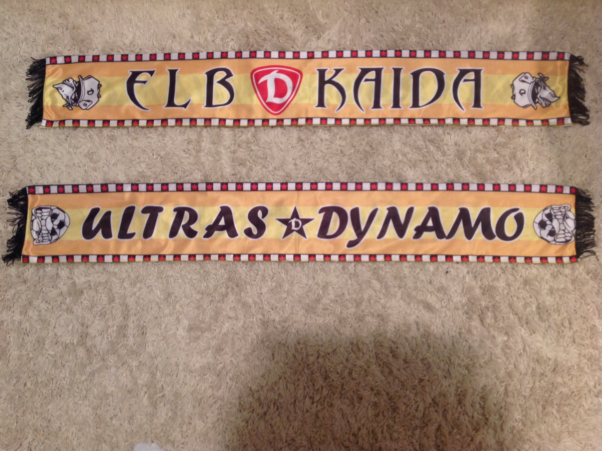 Dynamo Dresden - 13 - ELB KAIDA / ULTRAS DYNAMO