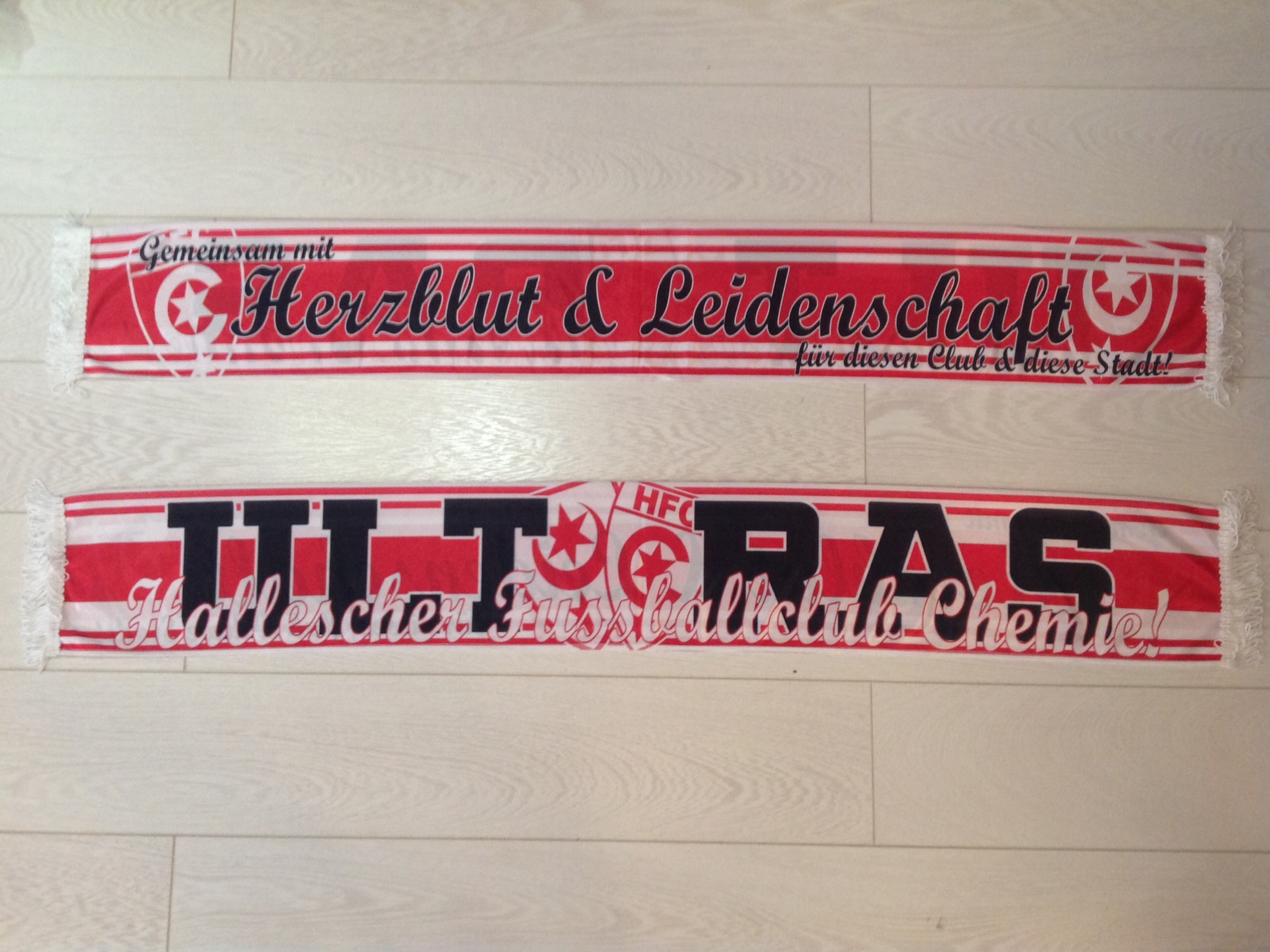 Hallescher FC - 04 - ULTRAS