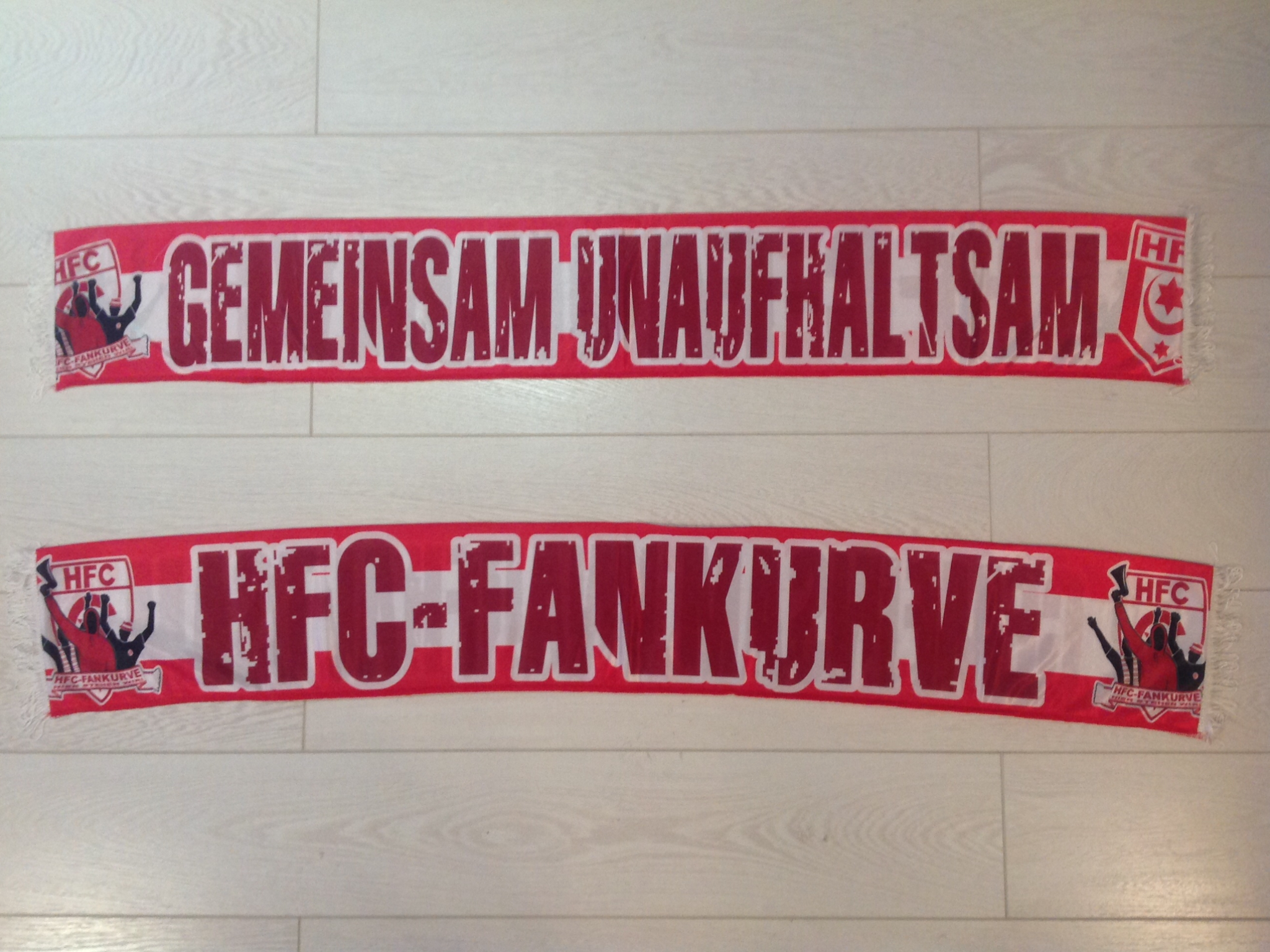 Hallescher FC - 03 - HFC-FANKURVE