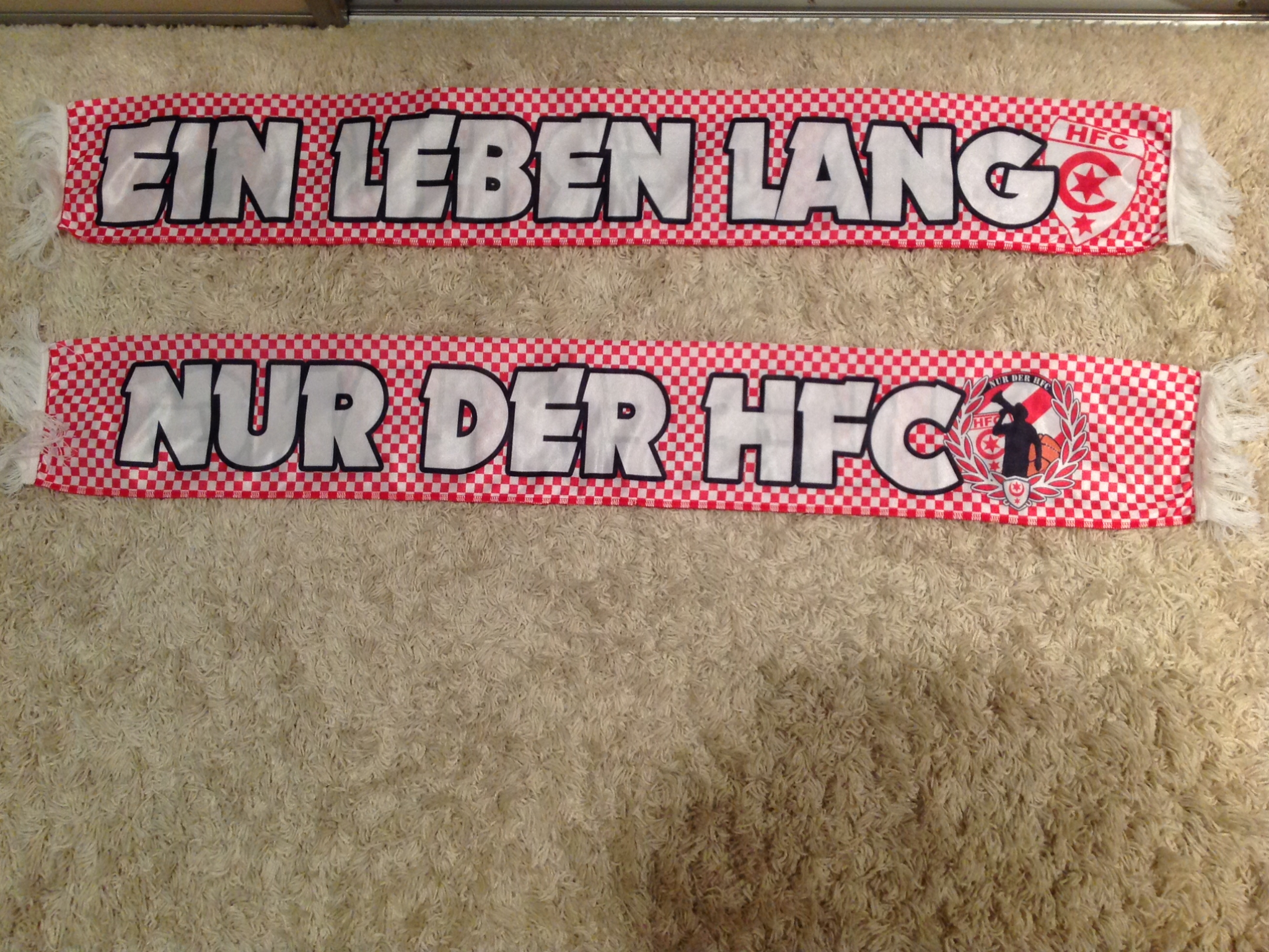 Hallescher FC - 01 - NUR DER HFC