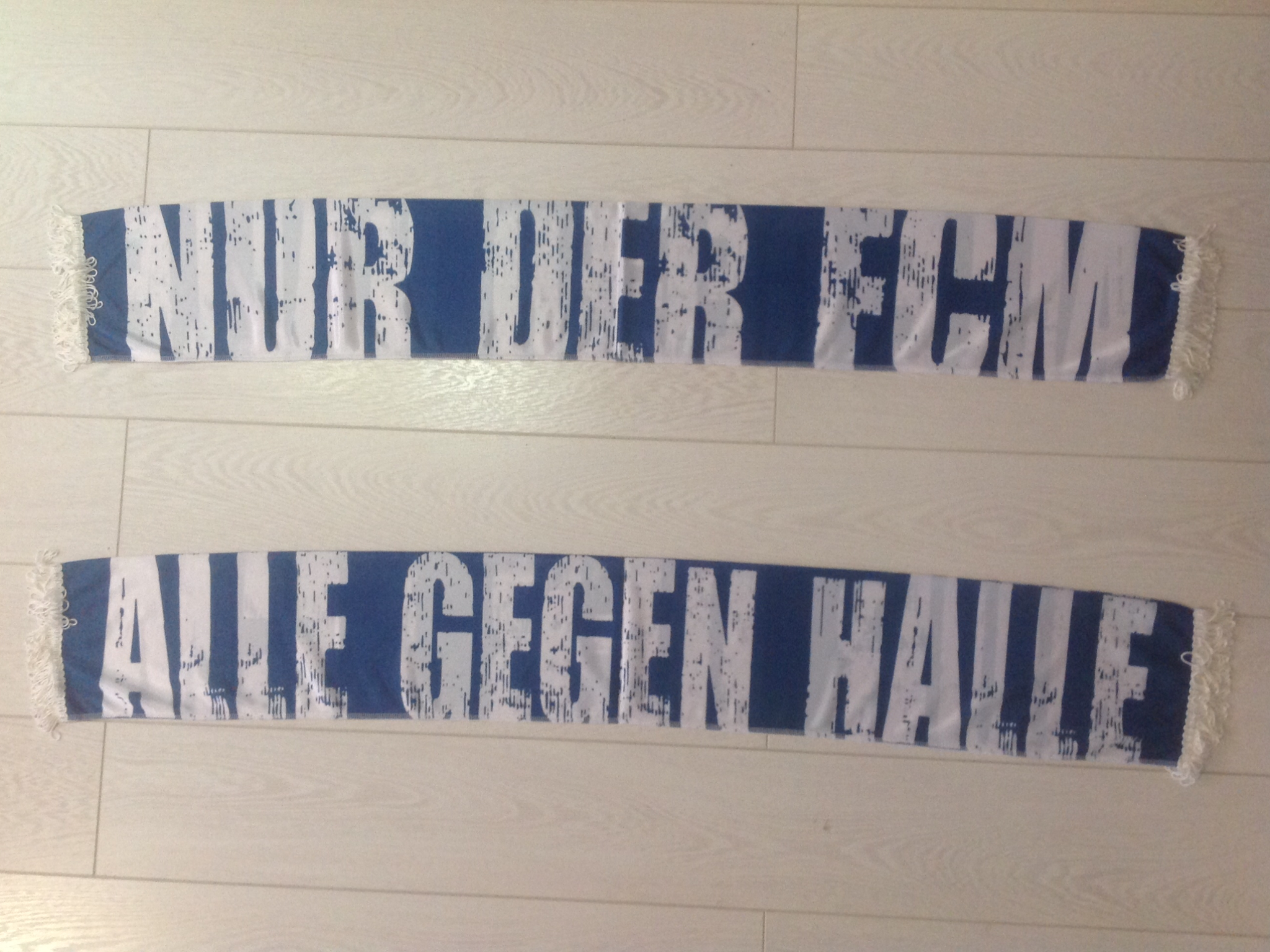 1. FC Magdeburg - 10 - NUR DER FCM / ALLE GEGEN HALLE