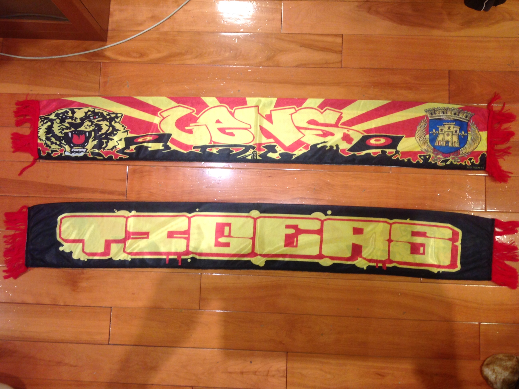 RC Lens - 20 - TIGERS