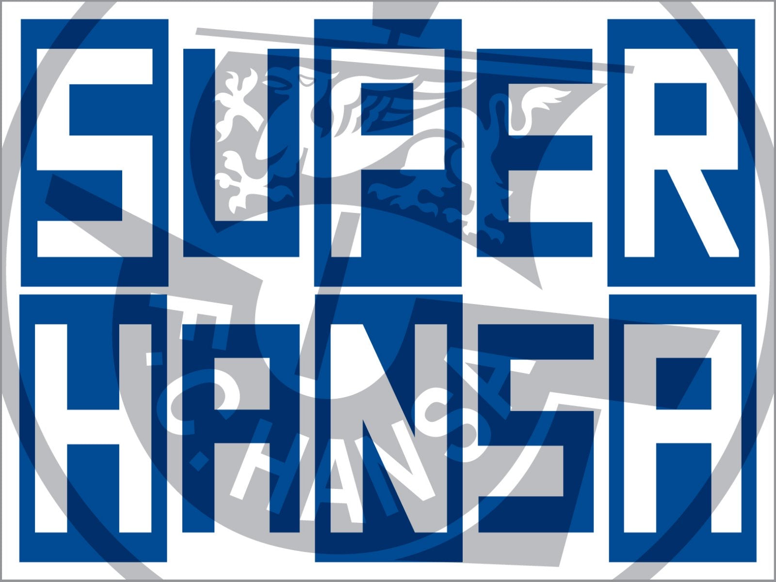 FC Hansa Rostock - flagge - 2 x 1,5 m