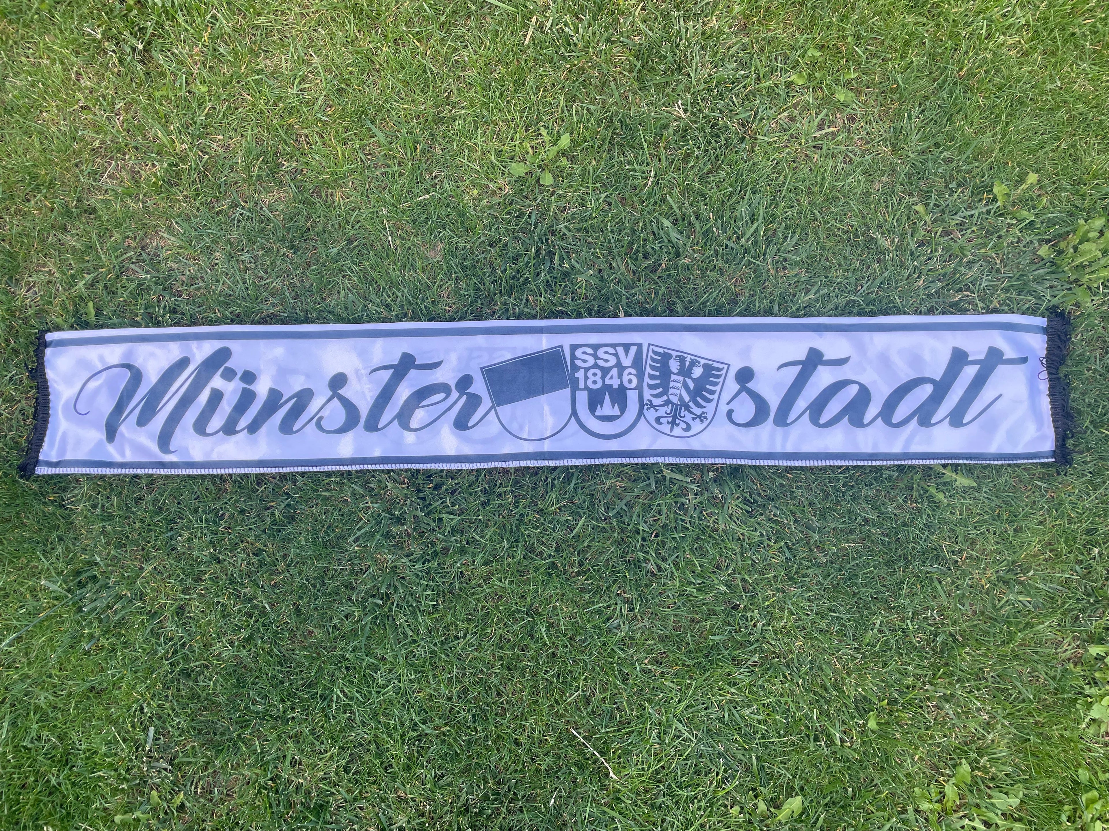 SSV Ulm 1846 - 02 - MUNSTER STADT