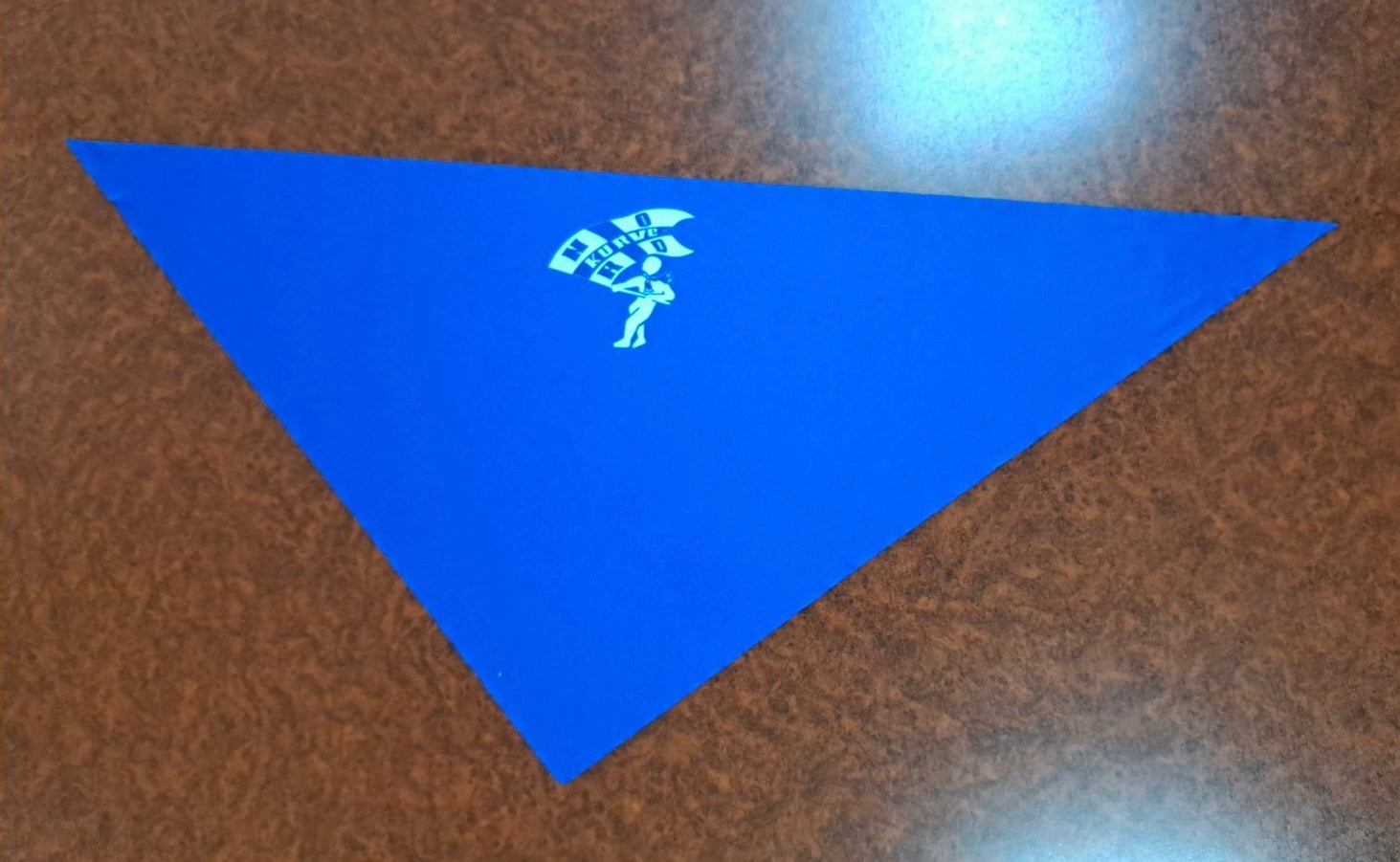 FC Schalke 04 - Kopftuch / Halstuch - 6 -