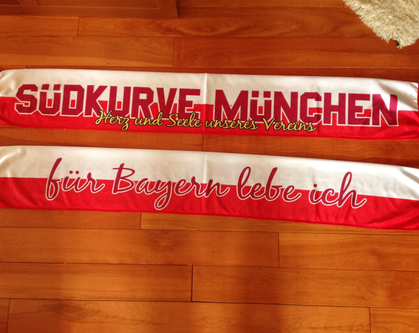 FC Bayern Munich - 41 - SUDKURVE